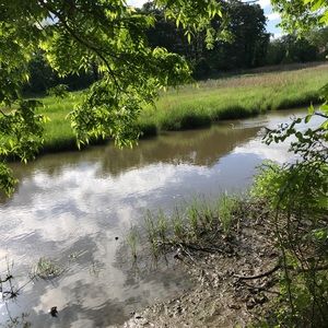 Meet your Posher, Candice